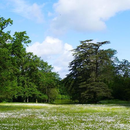 Château de la Jumellière Villa Esterno foto